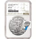 2024 p シルバー イーグル スター プライベート ngc ms69 ブラウン ラベル付きプレセール