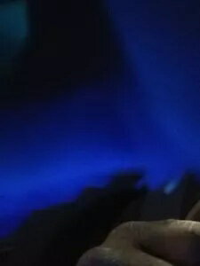 ??(5) レア ルーズベルト ダイム 40%+ 