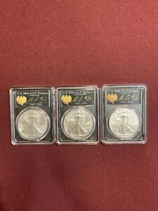 2022-(W) $1 С  PCGS MS70 FDOI ݡ C. Х  3  å