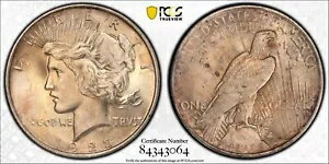 1922 P ԡ顼 ȡ VAM-5B TDR  ֥졼 PCGS MS-65 ȥå ݥå