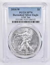 SP70 2014-W バーニッシュシルバー イーグル アニュアルセット PCGS ブルーラベル