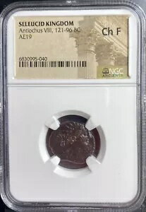 ギリシャ セレウコス朝 121BC-96BC NGC 認定コイン アンティオコス 8 世 本物