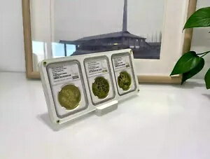 NGC ホルダー用スタンド付き 5 x 3 スラブ白色ディスプレイ フレーム ケース ボックス(3)