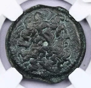 プトレマイオス王国 プトレマイオス6世 プトレマイオス8世 AE30 170-164/3 NGC F B-8