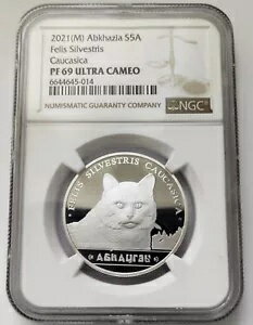 アブハジア 5 アプサー シルバー キャット フェリス シルベストリス コーカシカ 2021 NGC PF 69