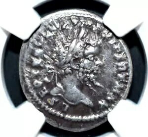 ץƥߥ 륹 193  211 ǯ ǥʥꥦNGC ǧꡢ(315)