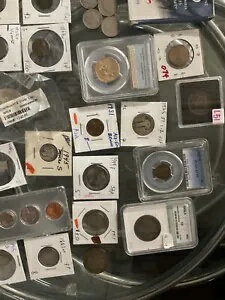 WORLD RESOURCEKINGŹۤ㤨29 ɥΥɥ/ʾ֥Хåˤ϶ߤμ¤˴ޤޤޤ!餷פβǤʤ58,300ߤˤʤޤ