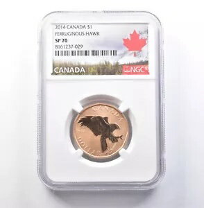 2014 カナダ 1 ドル 鉄ホーク SP70 NGC *5941