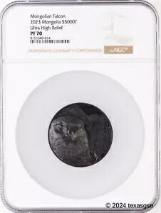 2023 5 С 󥴥ꥢ ե륳 ϥ꡼ ֥å ץ롼 NGC PF70