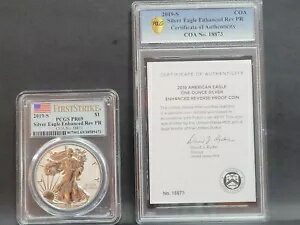 2019 S シルバー イーグル エンハンス