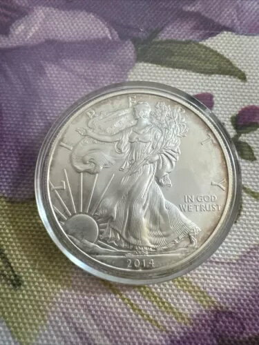 2014 アメリカン シルバー イーグル BU 1 オンス コイン US $1 ドル 一部調色(3)