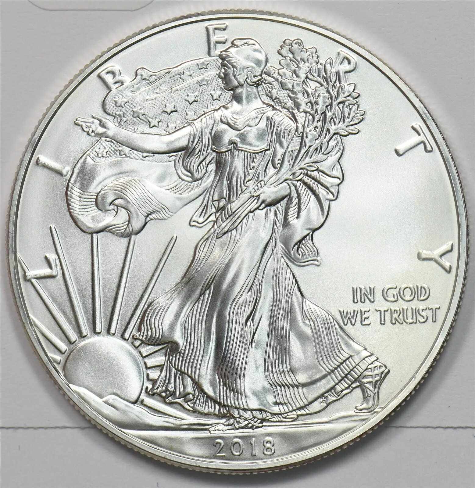 WORLD RESOURCE【KING店】の2018年 シルバーイーグルドル ASW 1オンス 1557 まとめ買い送料*SFCOIN｜アングル3