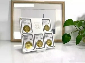 NGC ホルダー + + カスタマイズされた彫刻のための 5 グリッド色のデスクトップ ディスプレイ フレーム ケース(3)