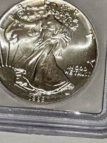 1989 $1 アメリカン シルバー イーグル ICG MS 69 ナイス ストライク!!