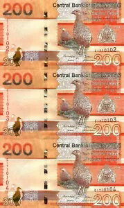 ガンビア 3x 200 ダラシ 2023 P-42c UNC 連続