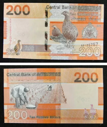 WORLD RESOURCEKINGŹۤ㤨֥ӥʾ 200 饷 2019 UNCפβǤʤ58,300ߤˤʤޤ