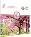 純銀貨 華麗なる桜