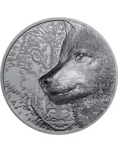 MYSTIC WOLF NGC PS70 FDI ֥å ץ롼 2  С  1000 ȥå 󥴥 2021