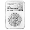 プレセール - 2025 (W) $1 1 オンス アメリカン シルバー イーグル NGC MS70 ALS ラベル