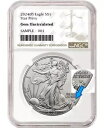 2024 p シルバー イーグル スター プライベート ngc ジェム未流通ブラウン プレセール 1