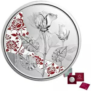 ָդζߥХ (1.) 2021 - ȥꥢ - 16.82 gr PP-