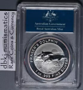 2021 オーストラリア フレイザーズ 