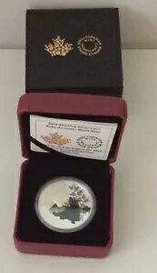 1󥹾ʥС顼Υ - ٥ӡĥΥ殺 ʥ RCM