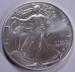 2024年 アメリカンイーグル 1トロイ