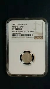 1887 ǯ ꥹ ꡼ڥ NGC XF  إå 3P 򺣤ʤ䤷ޤ!