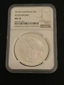 2016 ȥꥢ 1  С饤糧 NGC MS 70