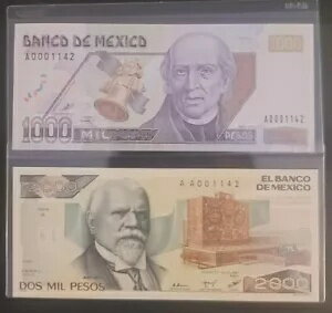 WORLD RESOURCEKINGŹۤ㤨ֿӥå  1000 Y 2000 ڥ ᥭ  ̥  ꥨ פβǤʤ182,600ߤˤʤޤ