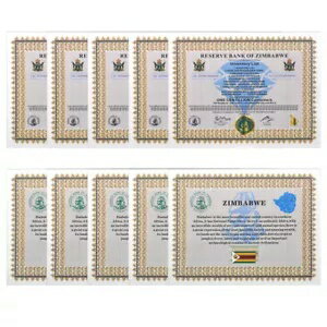 WORLD RESOURCE【KING店】の200 ピース/箱 1 センティリオンコンテナジンバブエ大型証明書紙幣工芸品｜アングル3