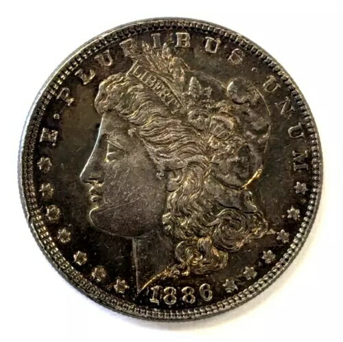 1886-P モーガン シルバー ダラー 〜驚異の調色〜 #541