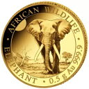 ゴールド コイン ゾウ アフリカの野生動物 2025 - ソマリア - 0.5 gr プルーフ-