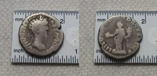 ʪθڶߡ ǥʥꥦ 100 AD-300 AD #097
