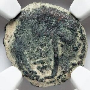 ポンテオ・ピラト、ユダヤ古代NGC本物のイエス聖書コイン26-36 AD AEプルタ