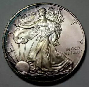 2010 アメリカン シルバー イーグル ドル 1 オンス 999 銀貨 ナット。 UNC/MS の調色