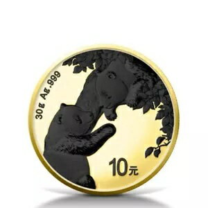2023 ѥ 24K  & ֥å ץ 0.999 С  ꡼
