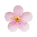 2021 $2 ニウエ プルーフ風桜彩色 1 オンス銀貨