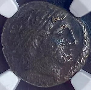NGC ǧ  359-336 եå 2  ꥷ ޥɥ˥  Ũʪ