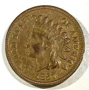 1857 ǥ إå  ե󥿥 ۴Ļž夲 ˥  ̵ /3