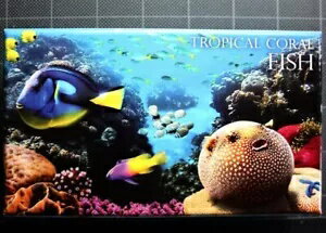 WORLD RESOURCEKINGŹۤ㤨2013ǯ ˥ ۥۥ祦 ե 顼 .925 С 1ɥ  ȥԥ륳פβǤʤ70,400ߤˤʤޤ