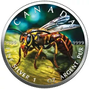CANADA COLOR COIN 2024 HORNET / ۡͥå 1 С -COLOR EDITION-