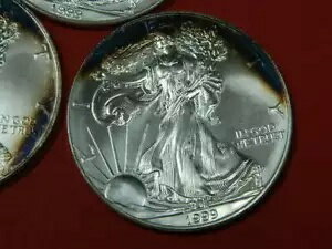 WORLD RESOURCE【KING店】の1999 アメリカン シルバー イーグル ( 3 ) 3 つの光沢のある未流通コイン、調色付き｜アングル3