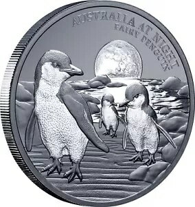 2024 ȥꥢ å ʥ ե꡼ ڥ󥮥 $1 ֥å ץ롼 1 С 