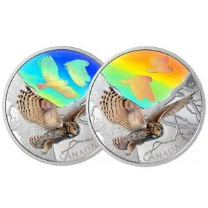 2019 2  $30 ꥫ亮ߥߥ ե С  - ưͺĻ