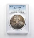 MS68 1993 アメリカン シルバー イーグル PCGS 美しいトーン ブルー/イエロー 水彩 *0151