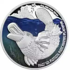 ˥ 2024 ץ롼 $5 ¤ޤϥե: ѥå Υϥ 2 С 300 ĤΤ
