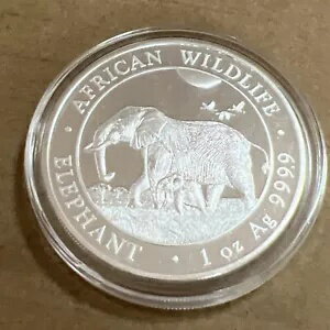 1 TROY OZ С .9999 ޥꥢ ե 2022