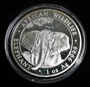 ޥꥢ: ե 2021 500 󥰡1 0z .9999 Сץǡڵ